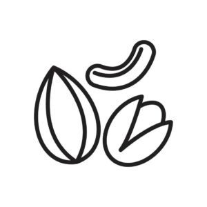 Dry Fruit Sweets